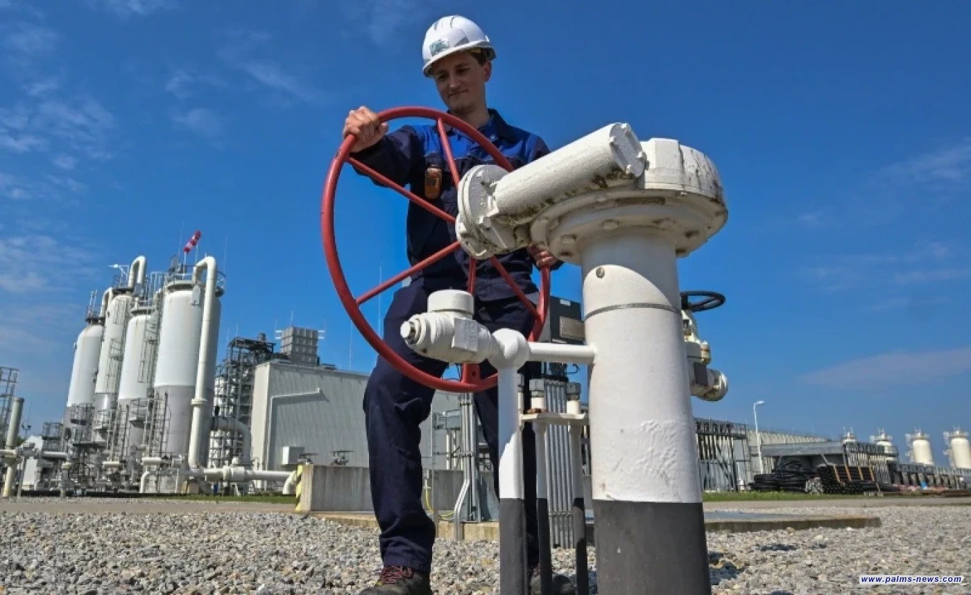 العراق يسعى لزيادة حصته النفطية بأوبك وإيرادات متوقعة تبلغ 10 مليارات دولار سنوياً